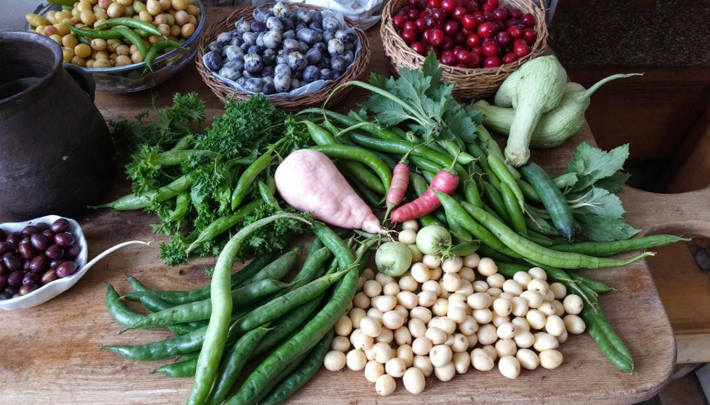 Exploration des bienfaits des légumineuses dans une alimentation durable